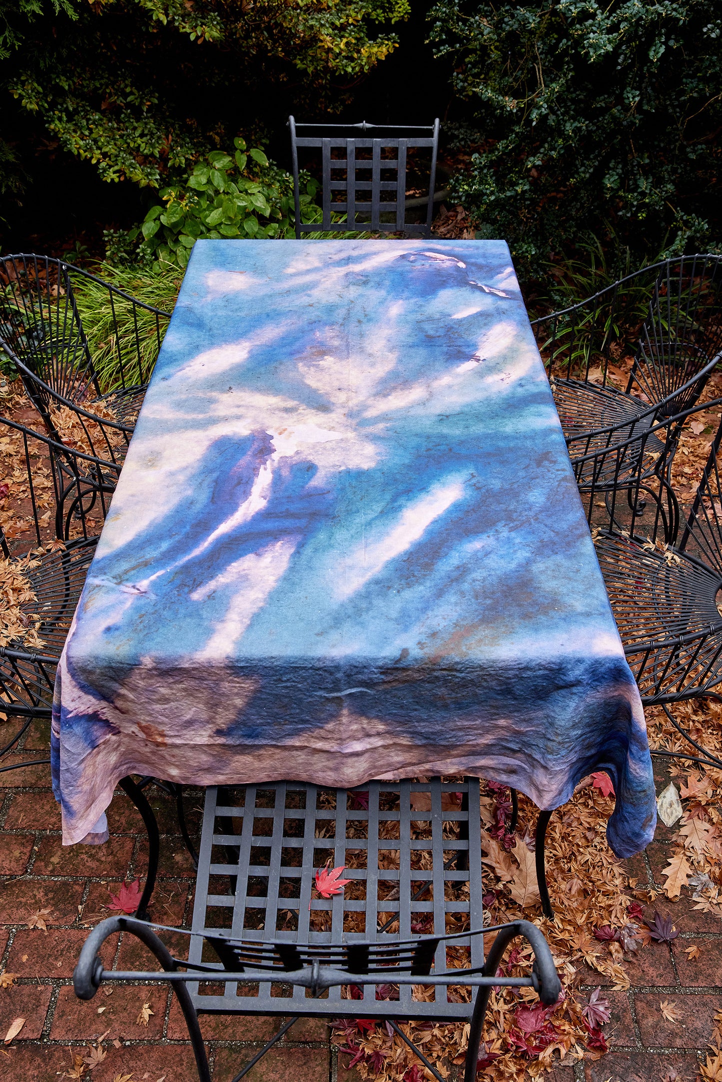 Senescence Table Cloth / Picnic Blanket